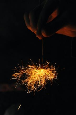 DSC_8344.JPG